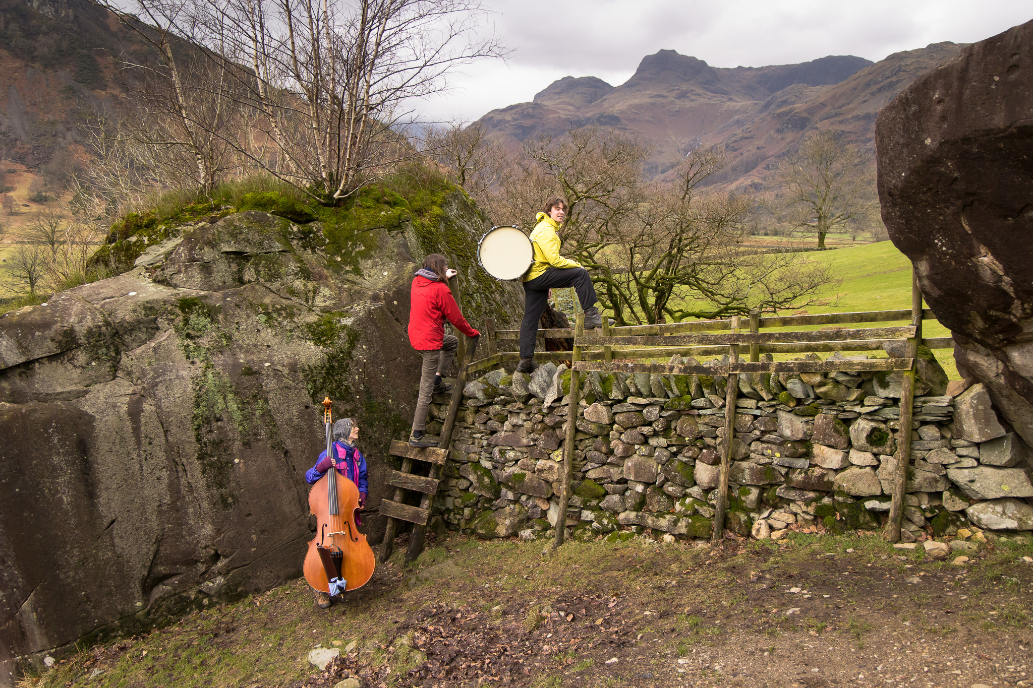 Sam sits atop a tree